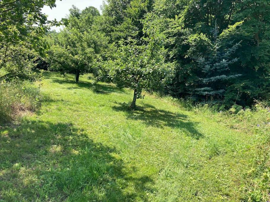 Ferienwohnung Niederstetten Екстер'єр фото
